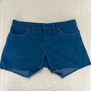 Carve Design Blue Shorts